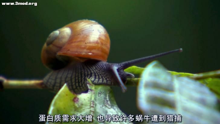 a3309a912ef9e50cf9c5db7bde74c2ae.jpg