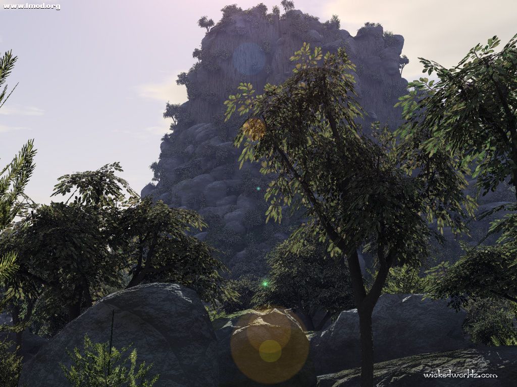 King Of The Hill.jpg