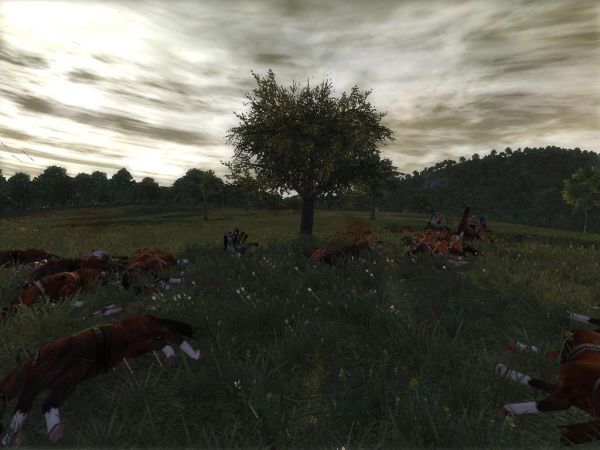 medieval2 2012-02-02 20-47-57-34.jpg