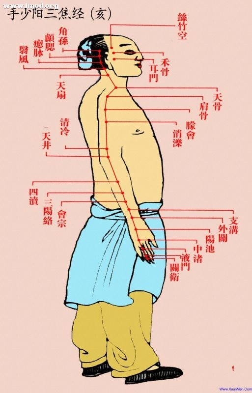 道家彩色经络图-亥-手少阳三焦经.jpg