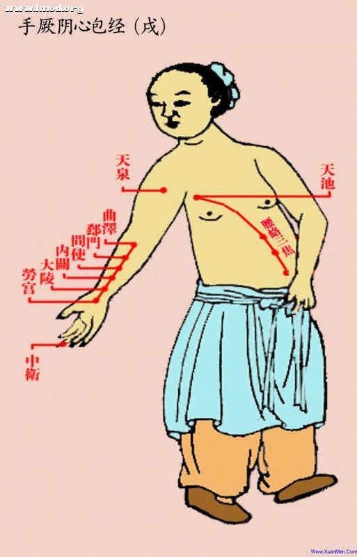 道家彩色经络图-戌-手厥阴心包经.jpg