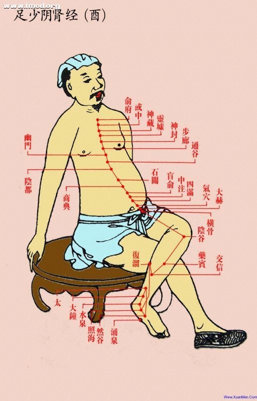 道家彩色经络图-酉-足少阴肾经.jpg