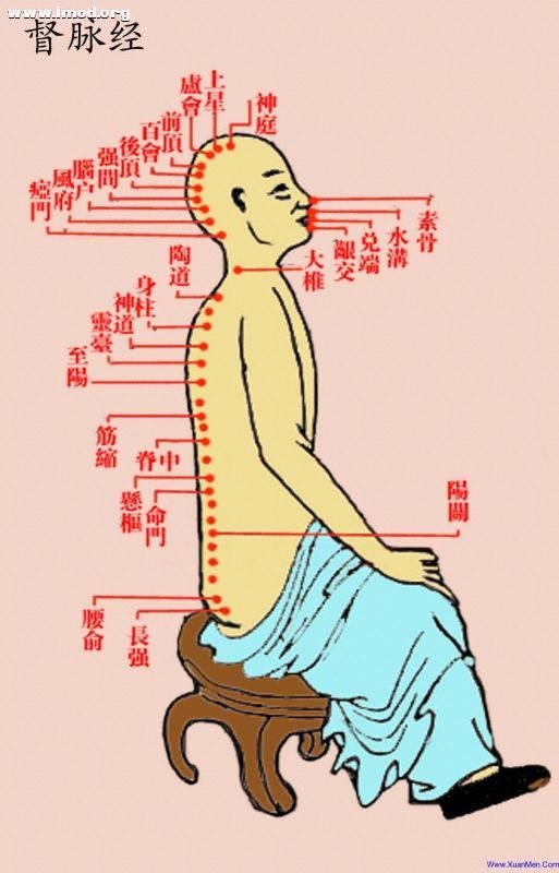 道家彩色经络图-督脉经.jpg