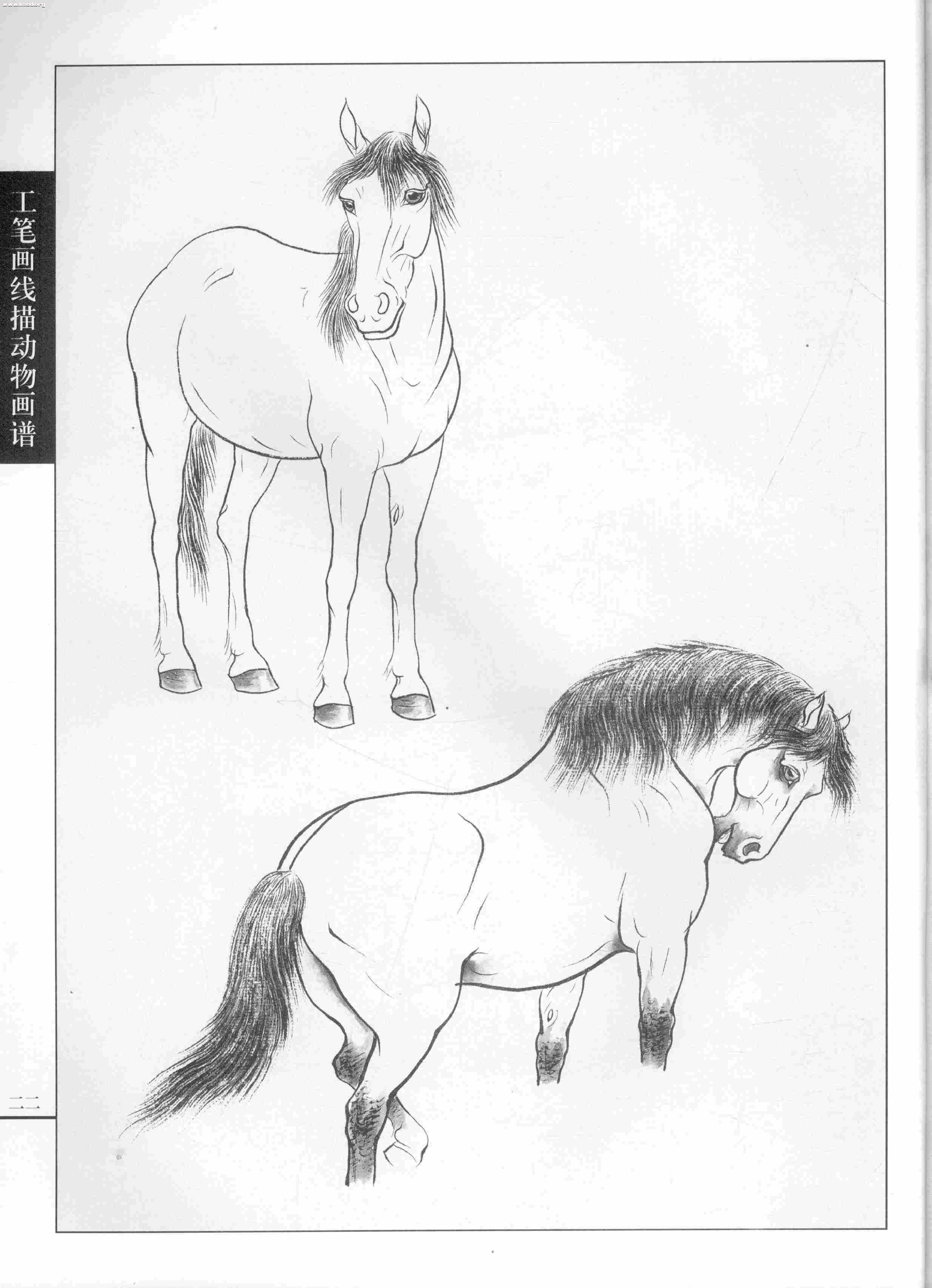 骏马篇0024.jpg