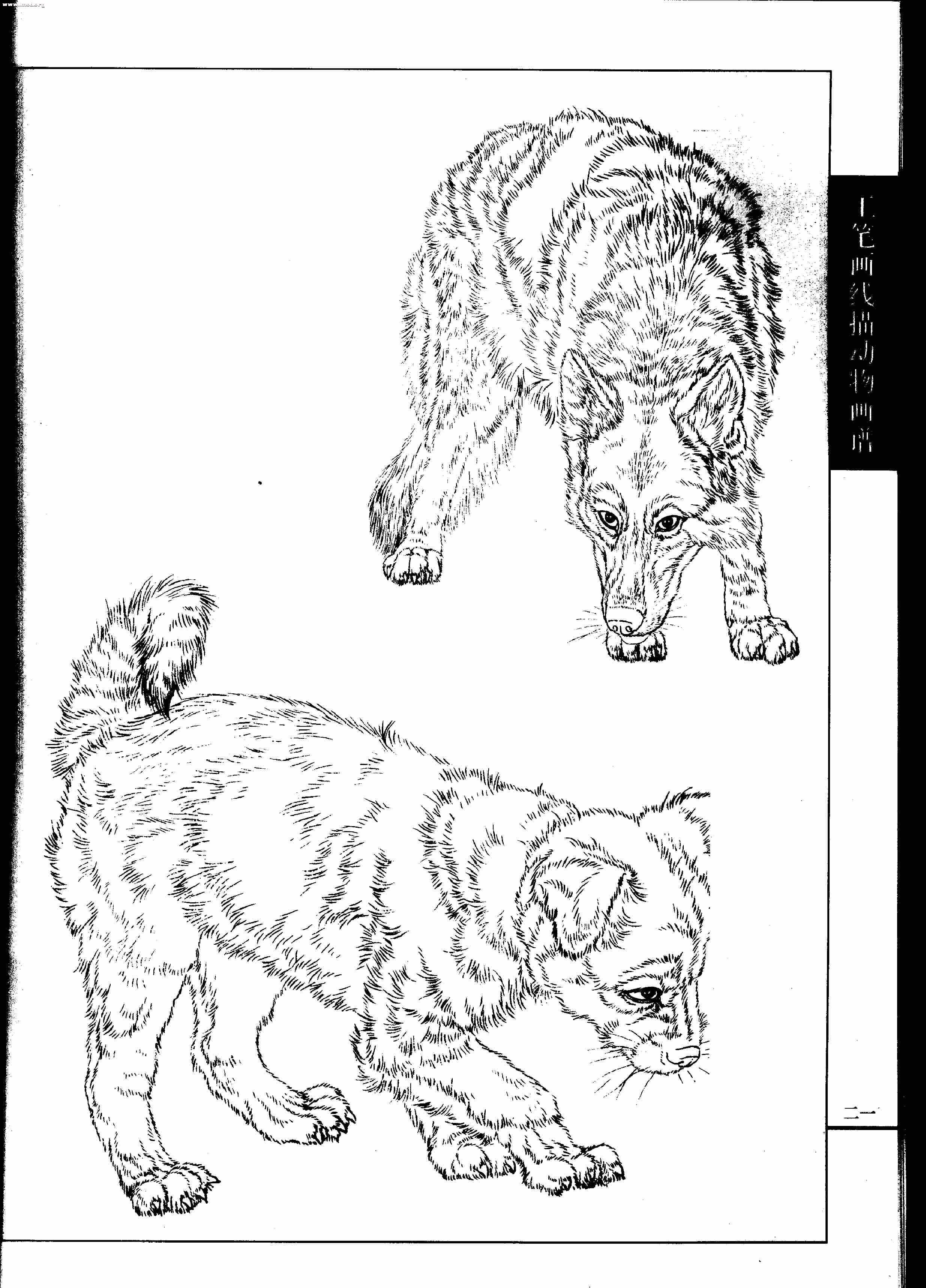 名犬篇0023.jpg