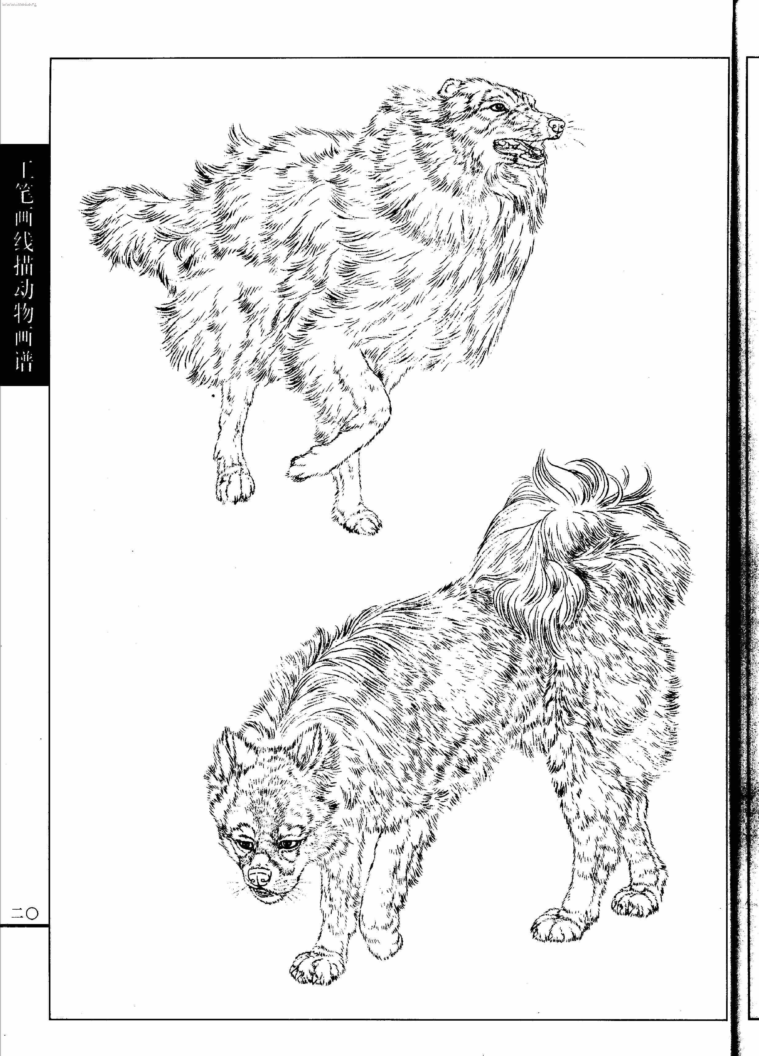 名犬篇0022.jpg