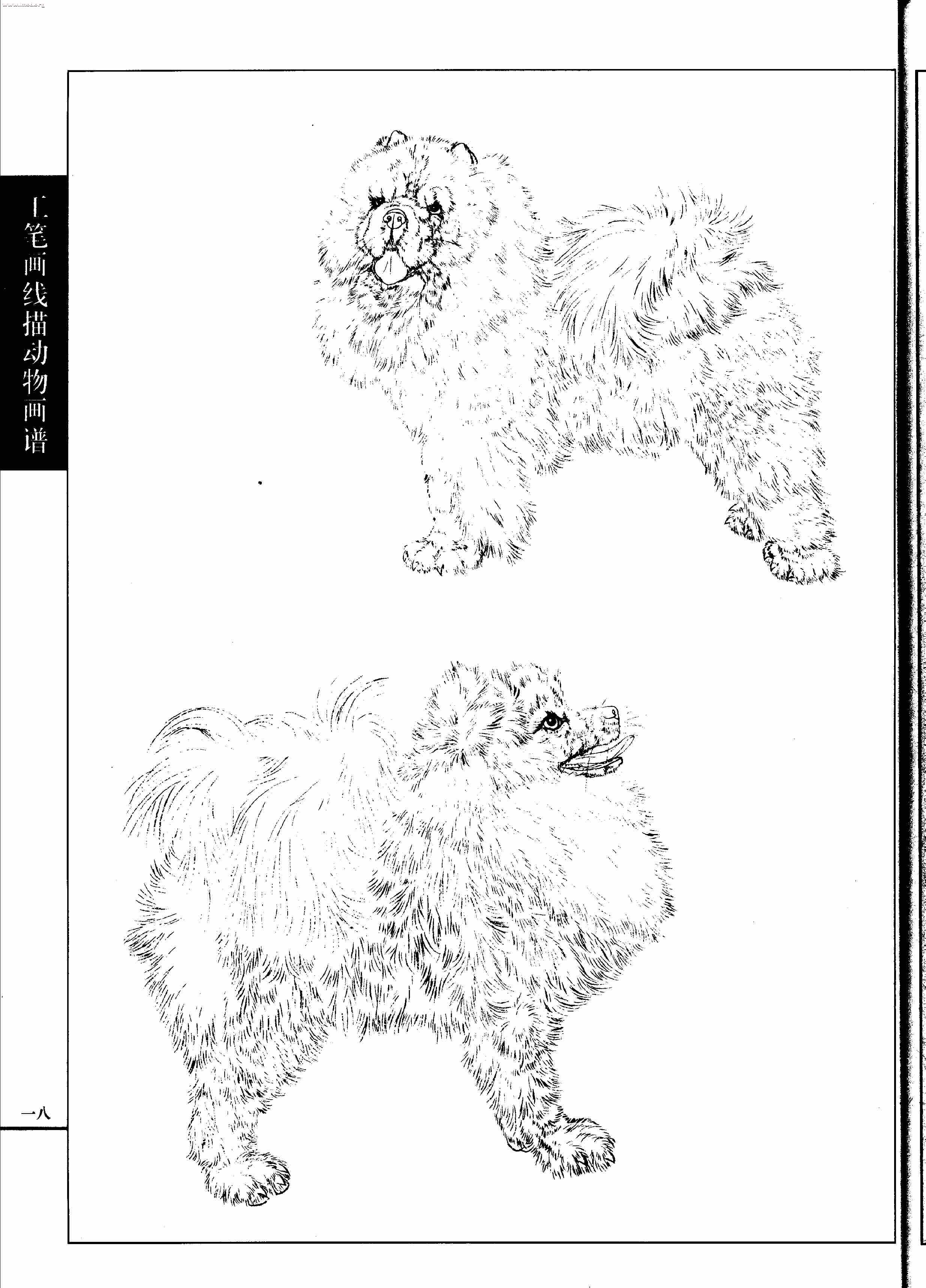 名犬篇0020.jpg