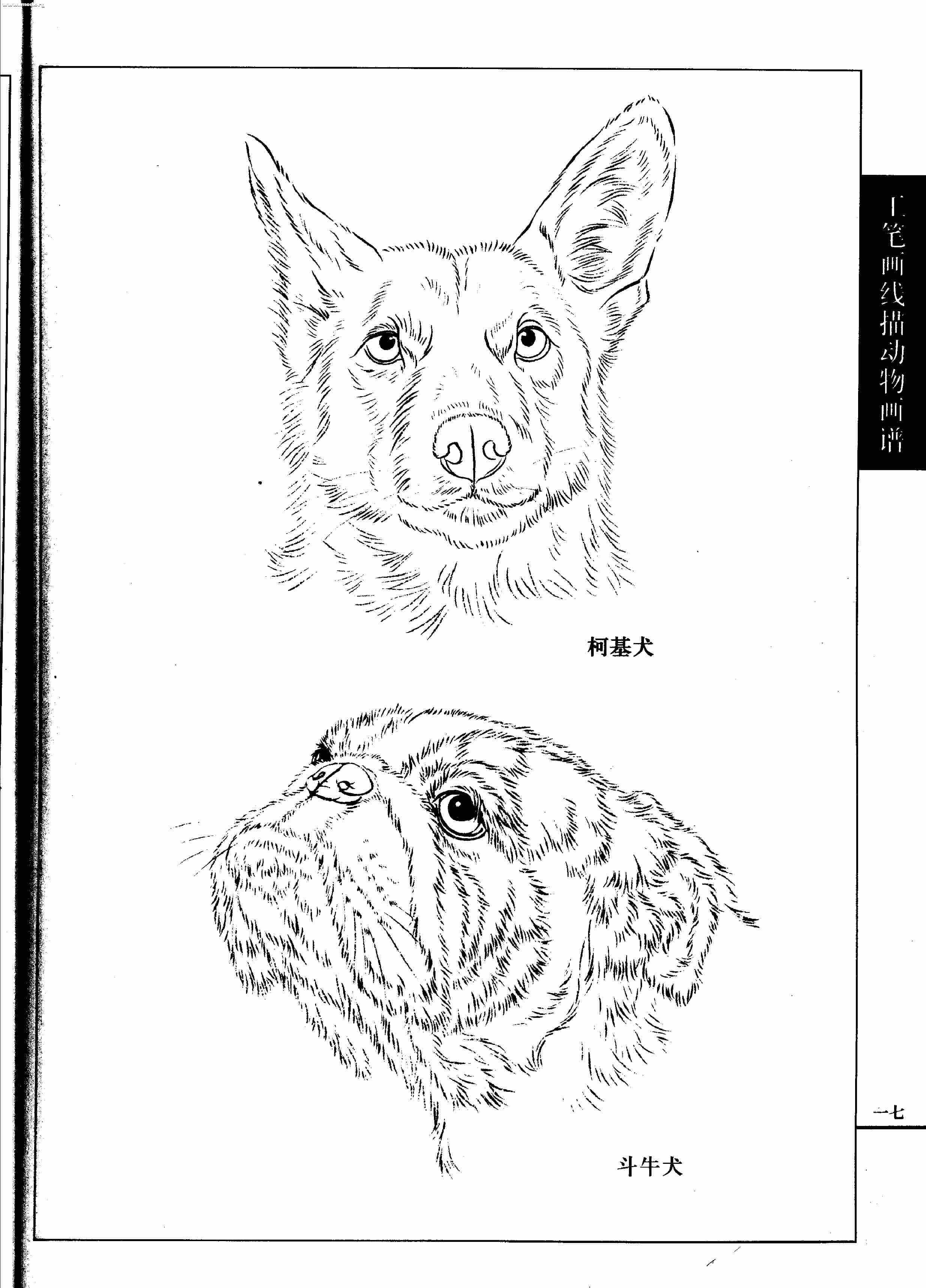 名犬篇0019.jpg