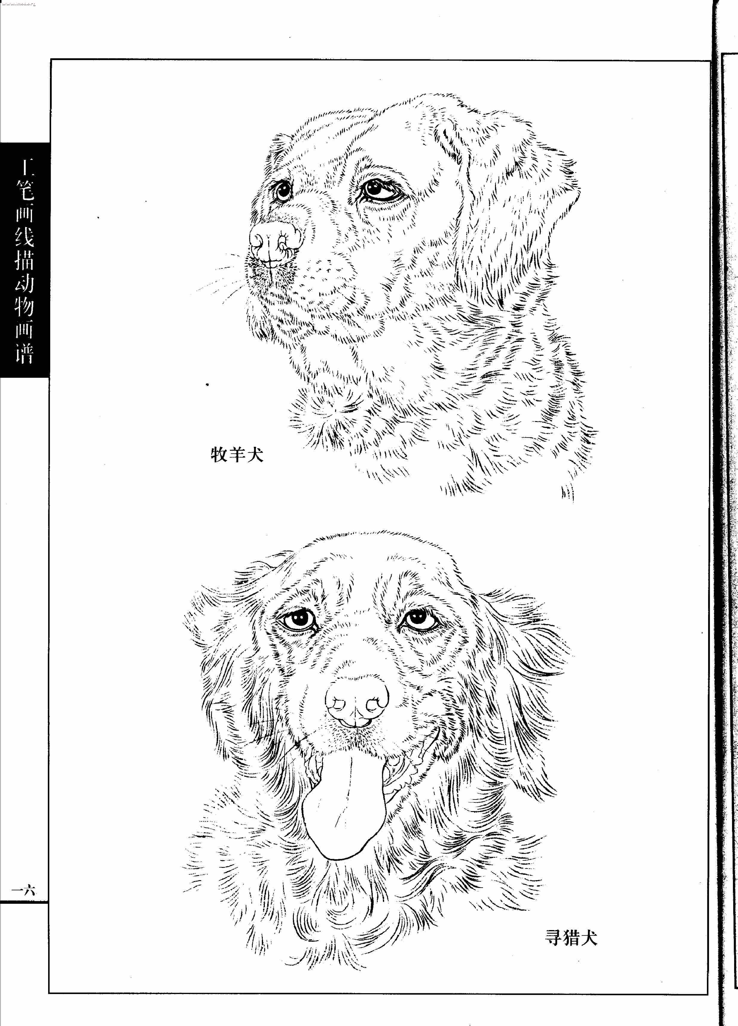 名犬篇0018.jpg