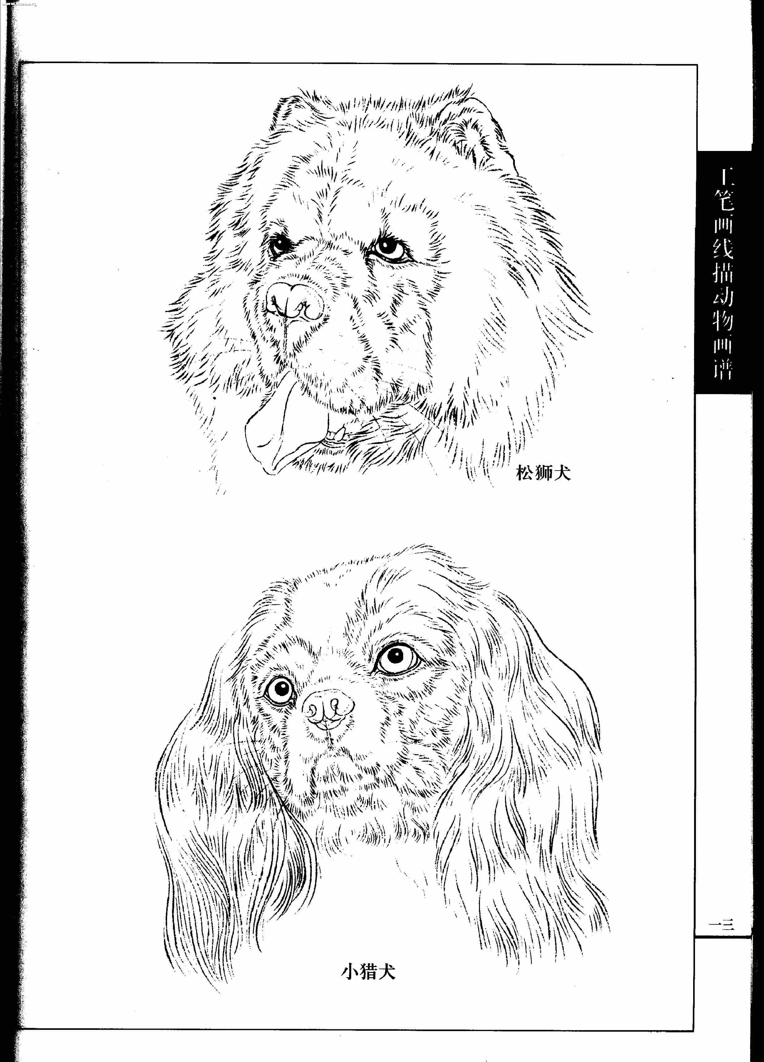 名犬篇0015.jpg