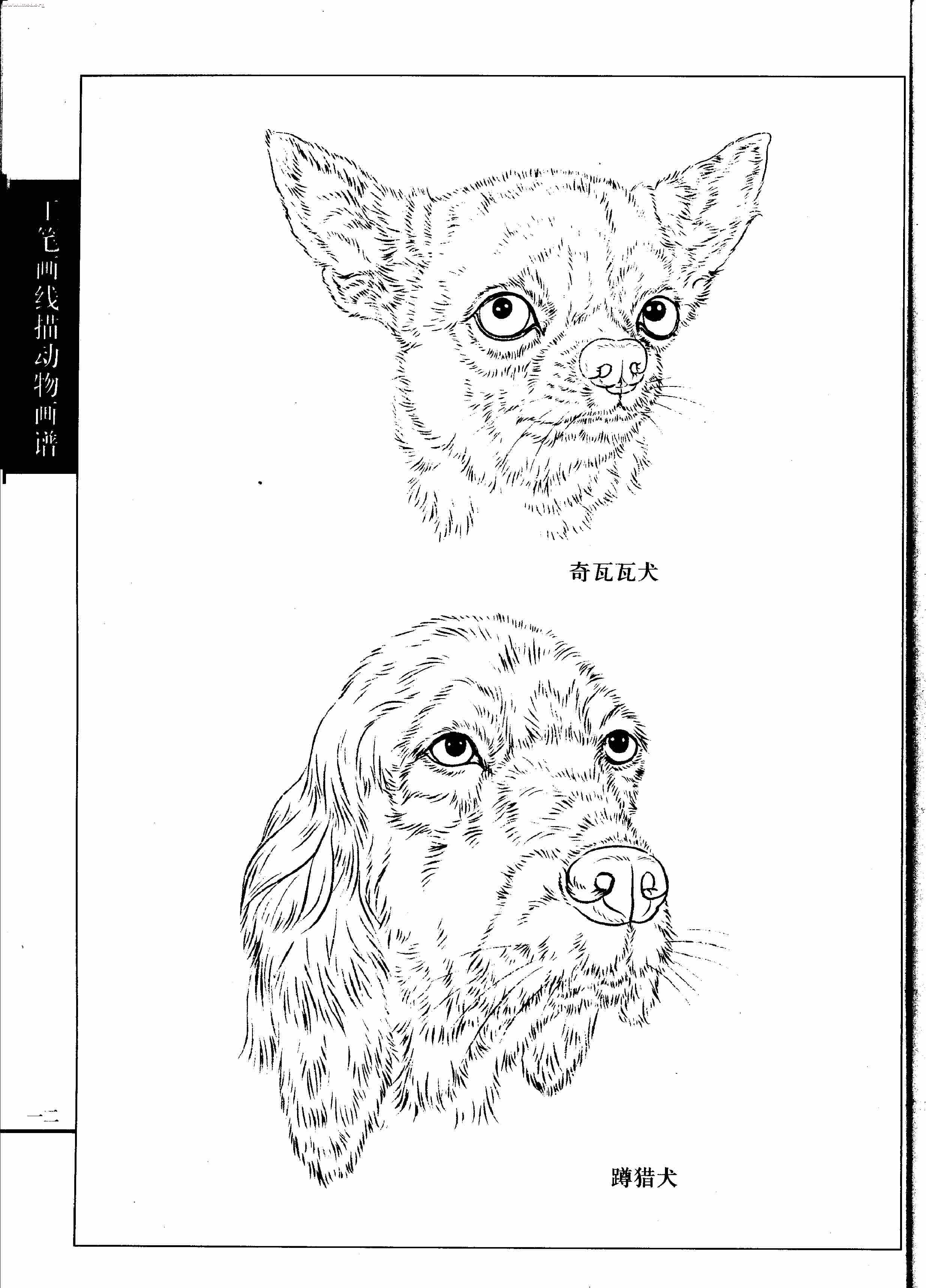 名犬篇0014.jpg