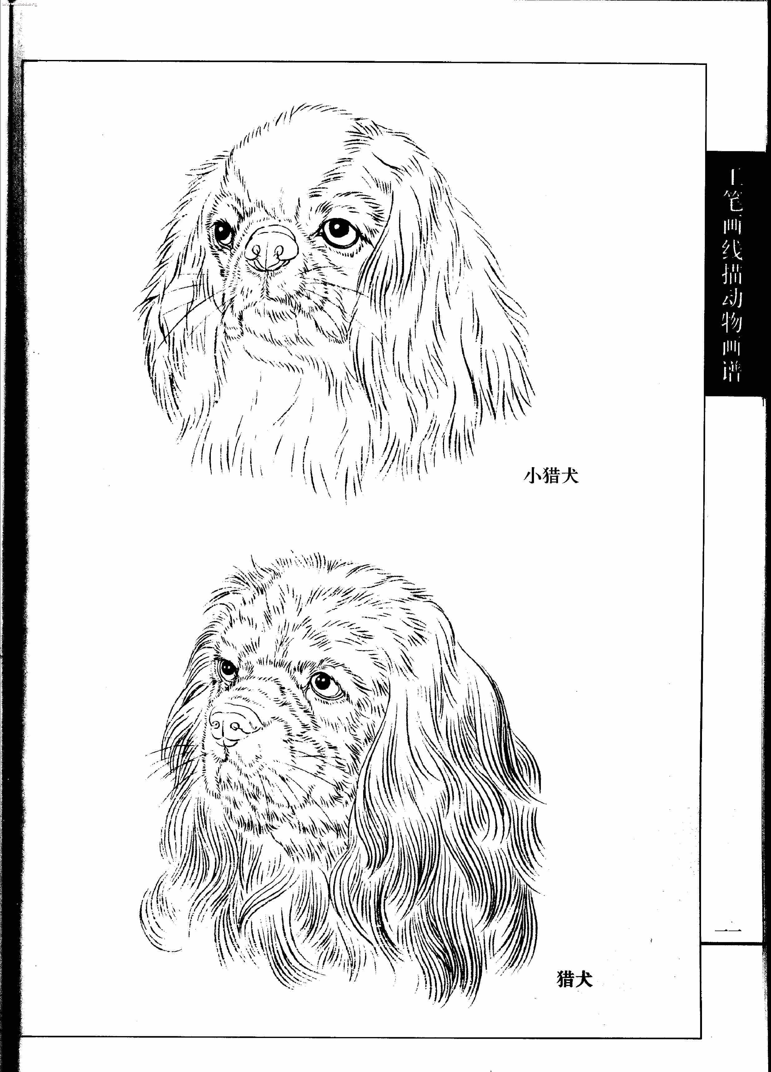 名犬篇0013.jpg