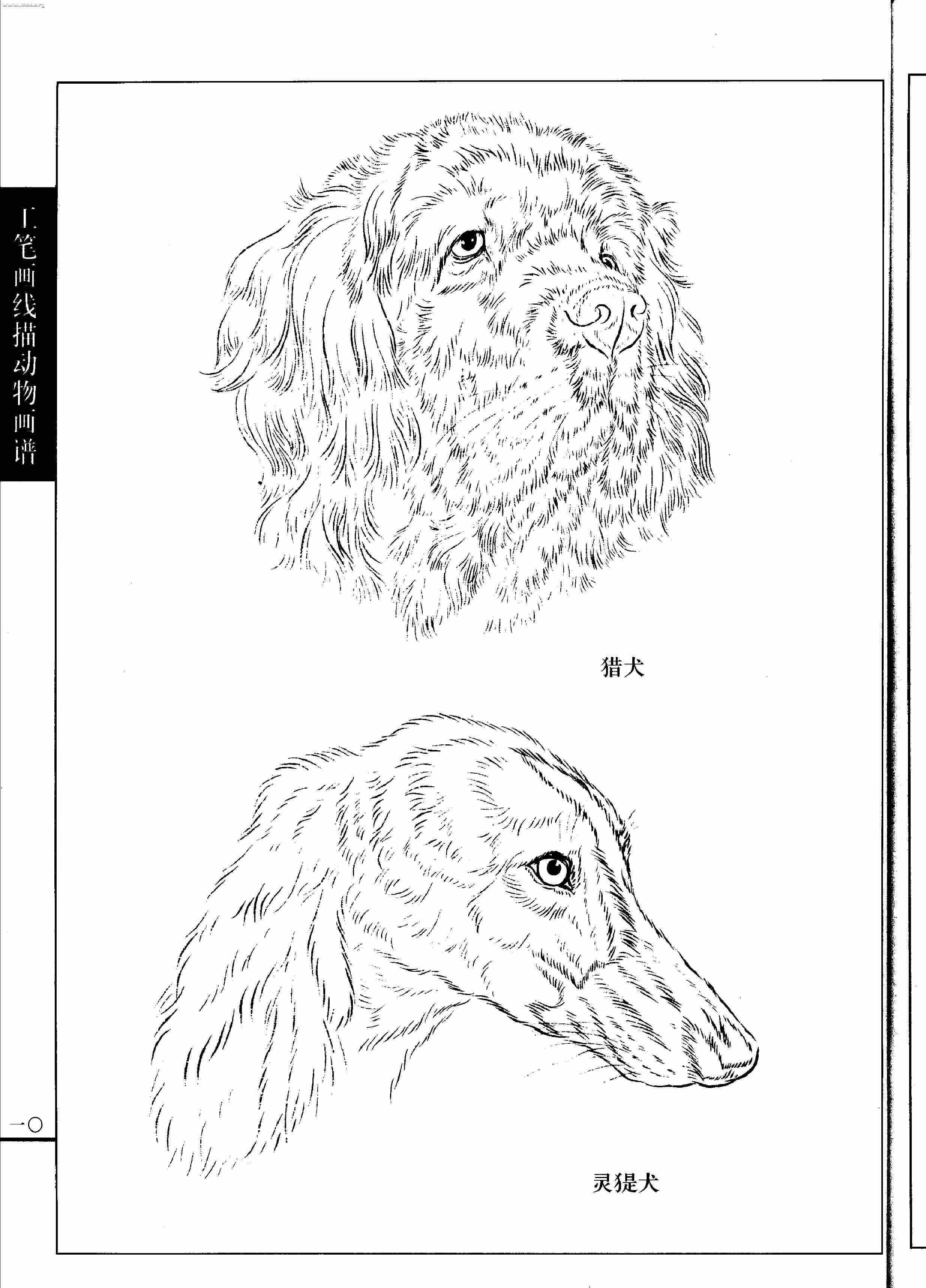 名犬篇0012.jpg