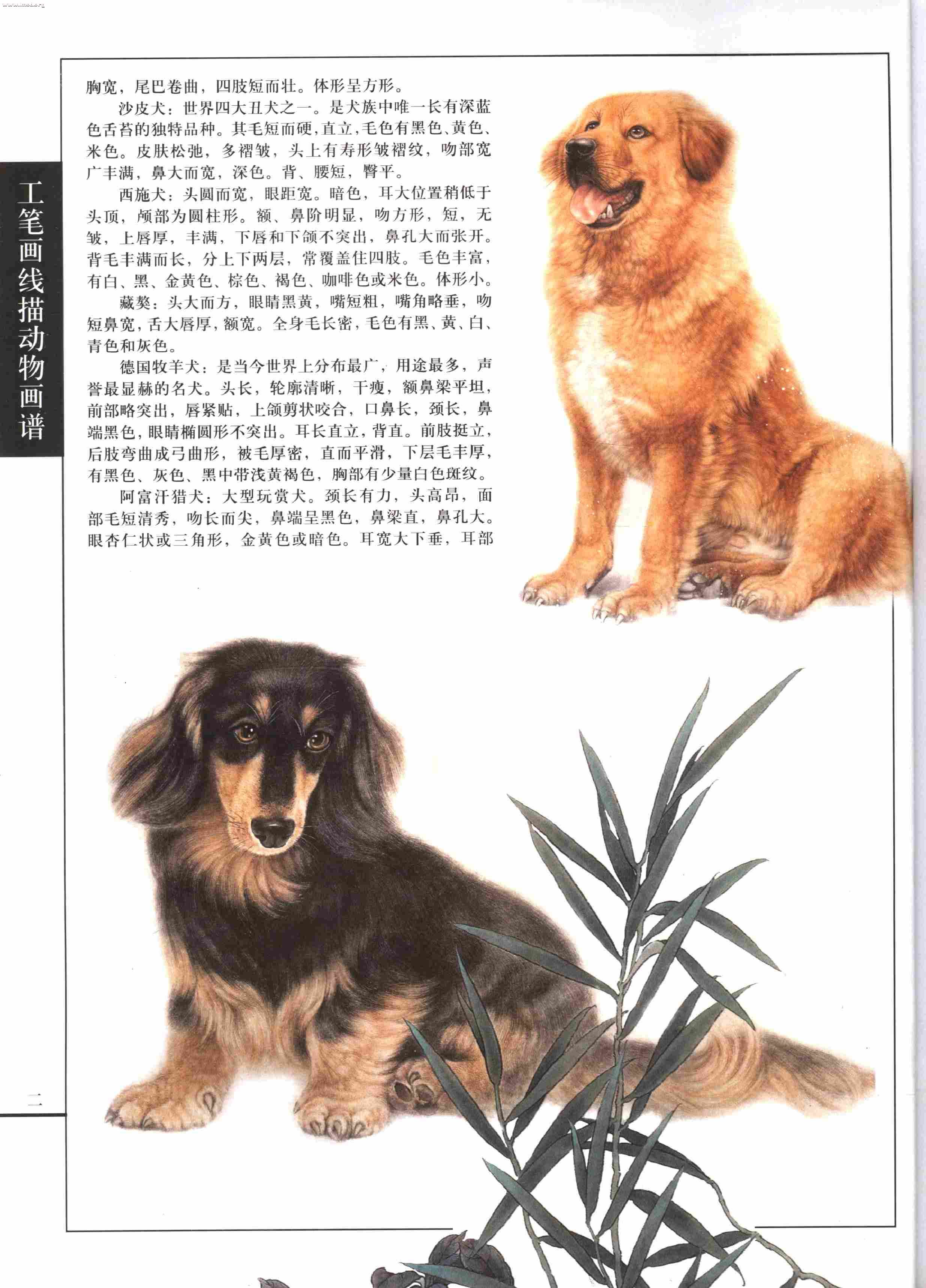 名犬篇0004.jpg