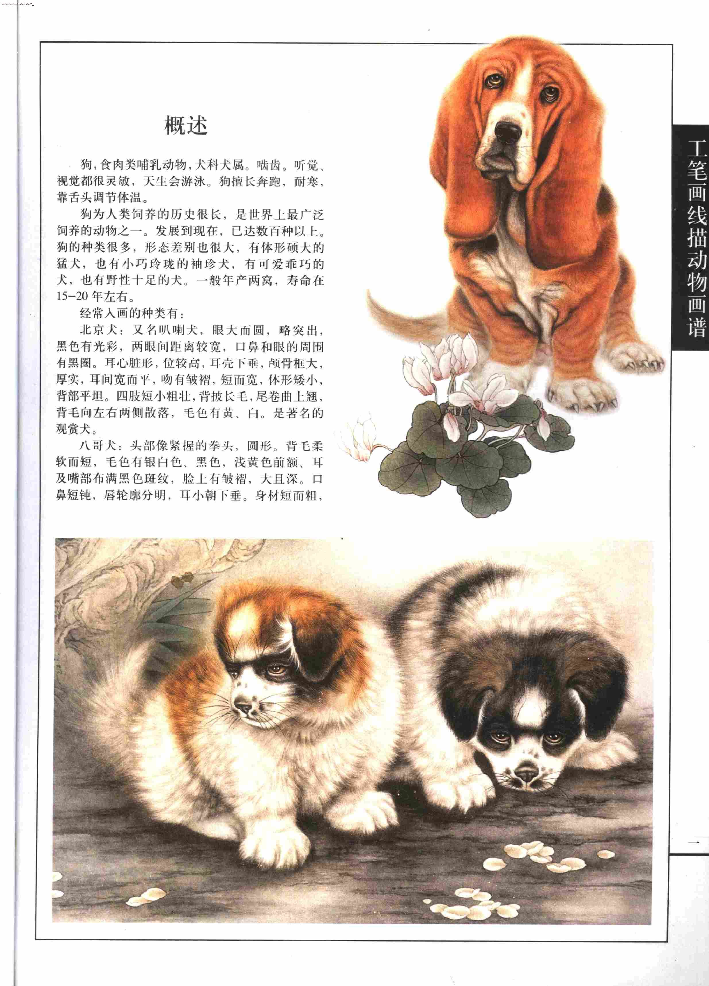 名犬篇0003.jpg