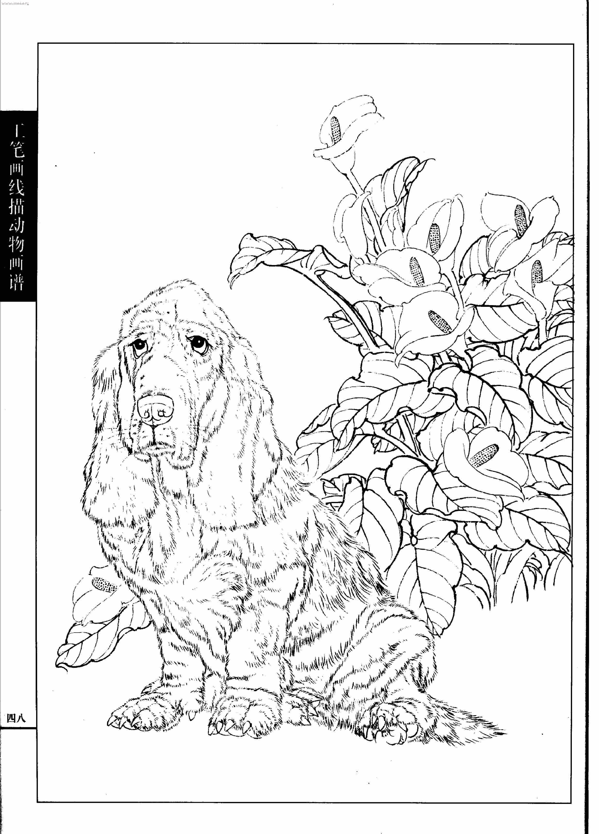 名犬篇0050.jpg