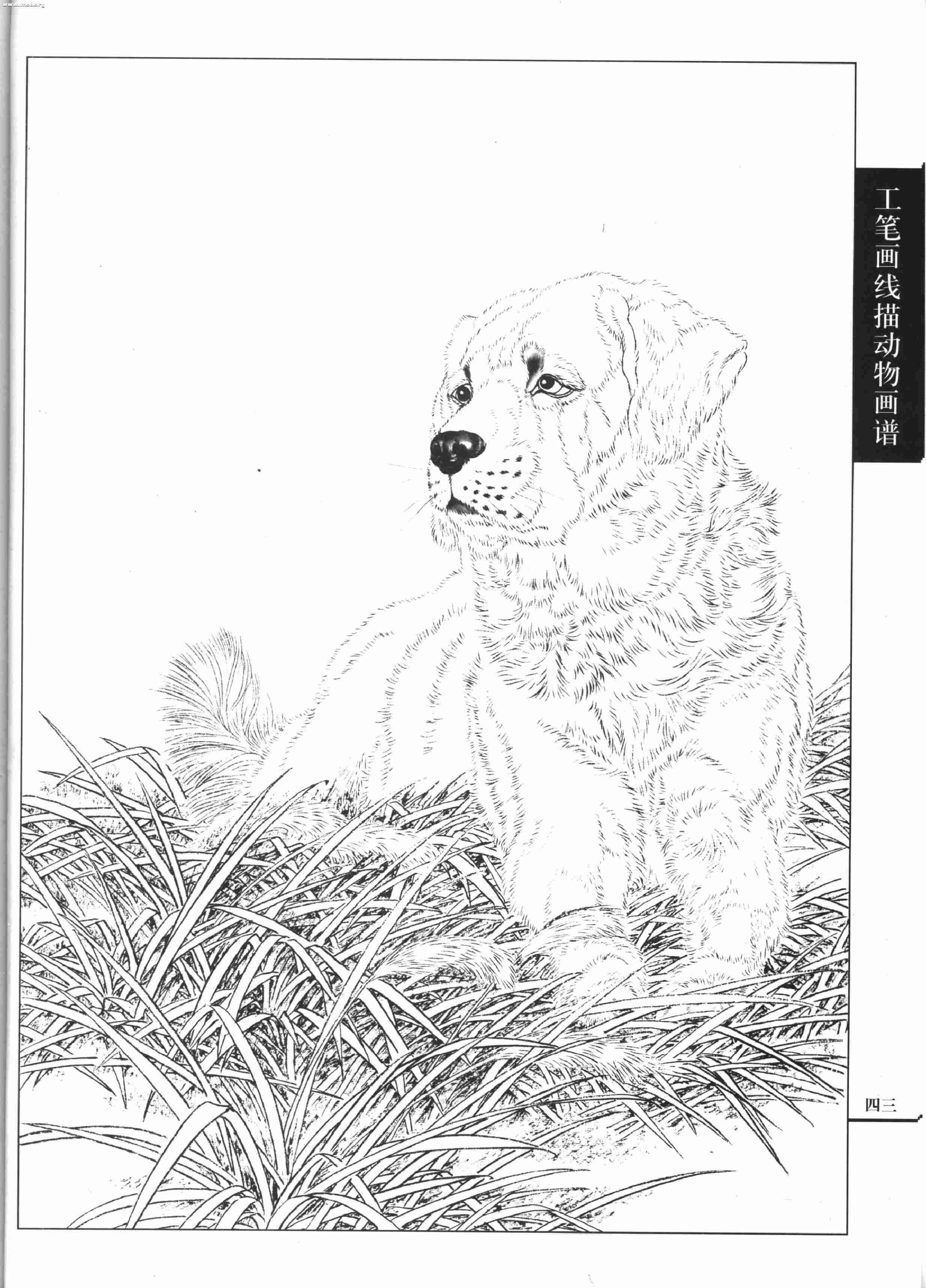 名犬篇0045.jpg