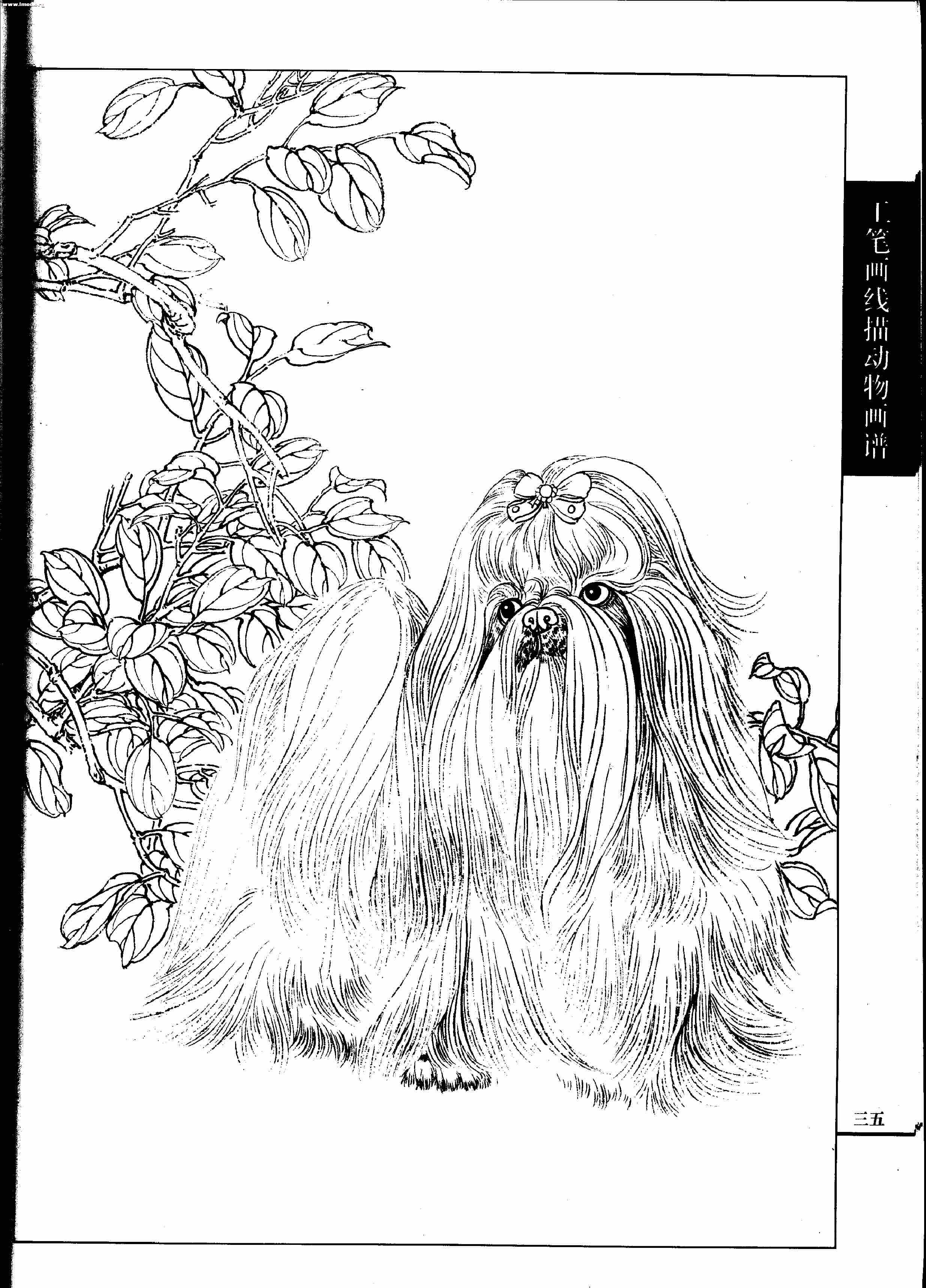 名犬篇0037.jpg