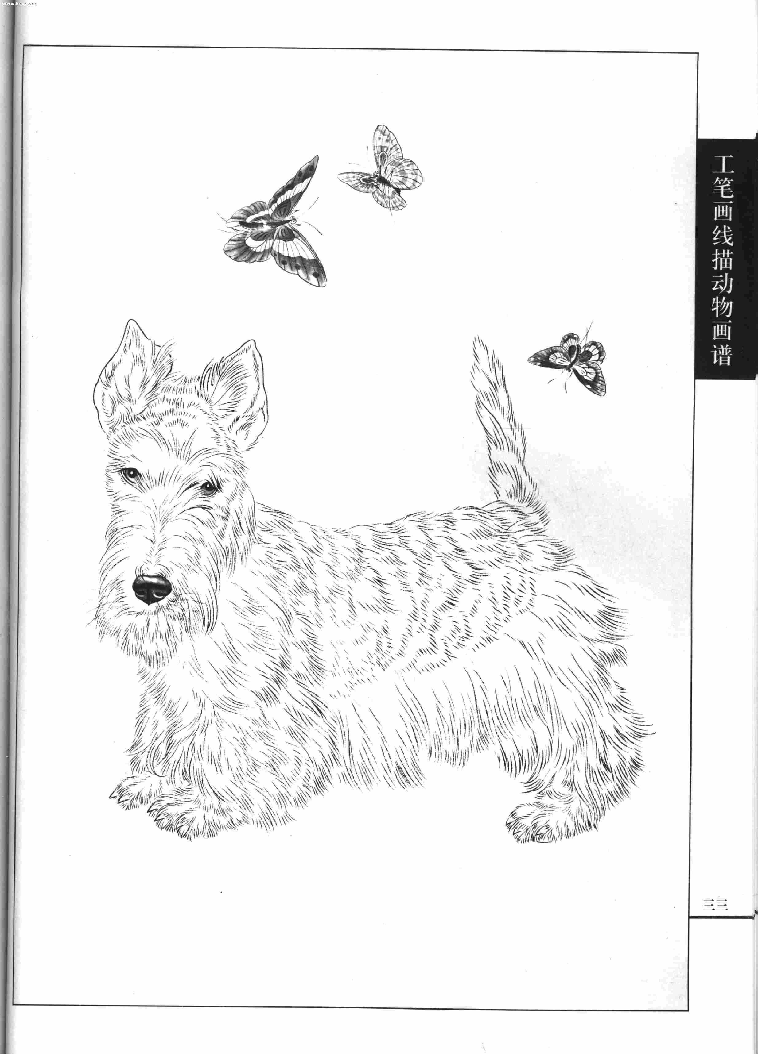 名犬篇0035.jpg