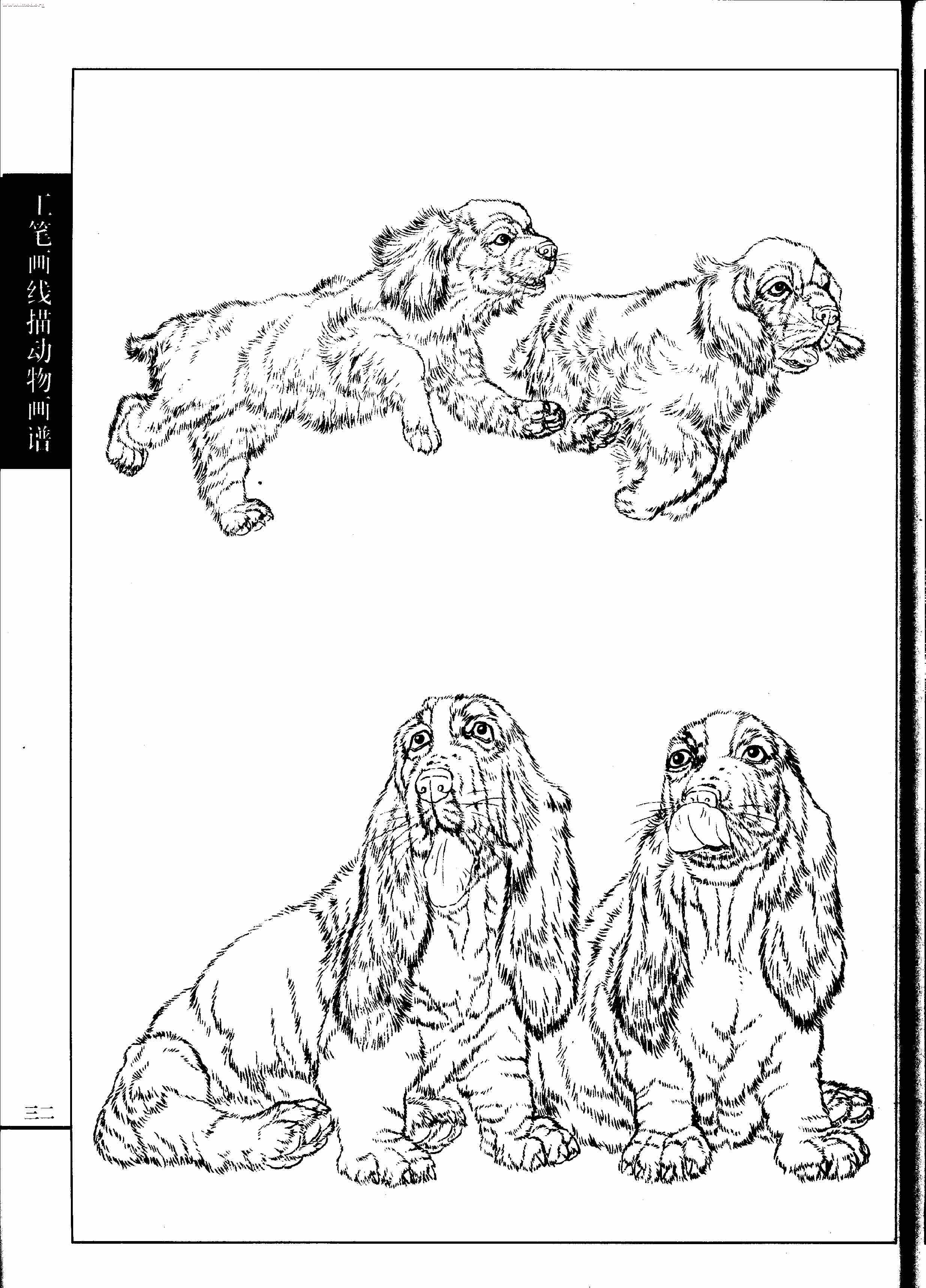 名犬篇0034.jpg