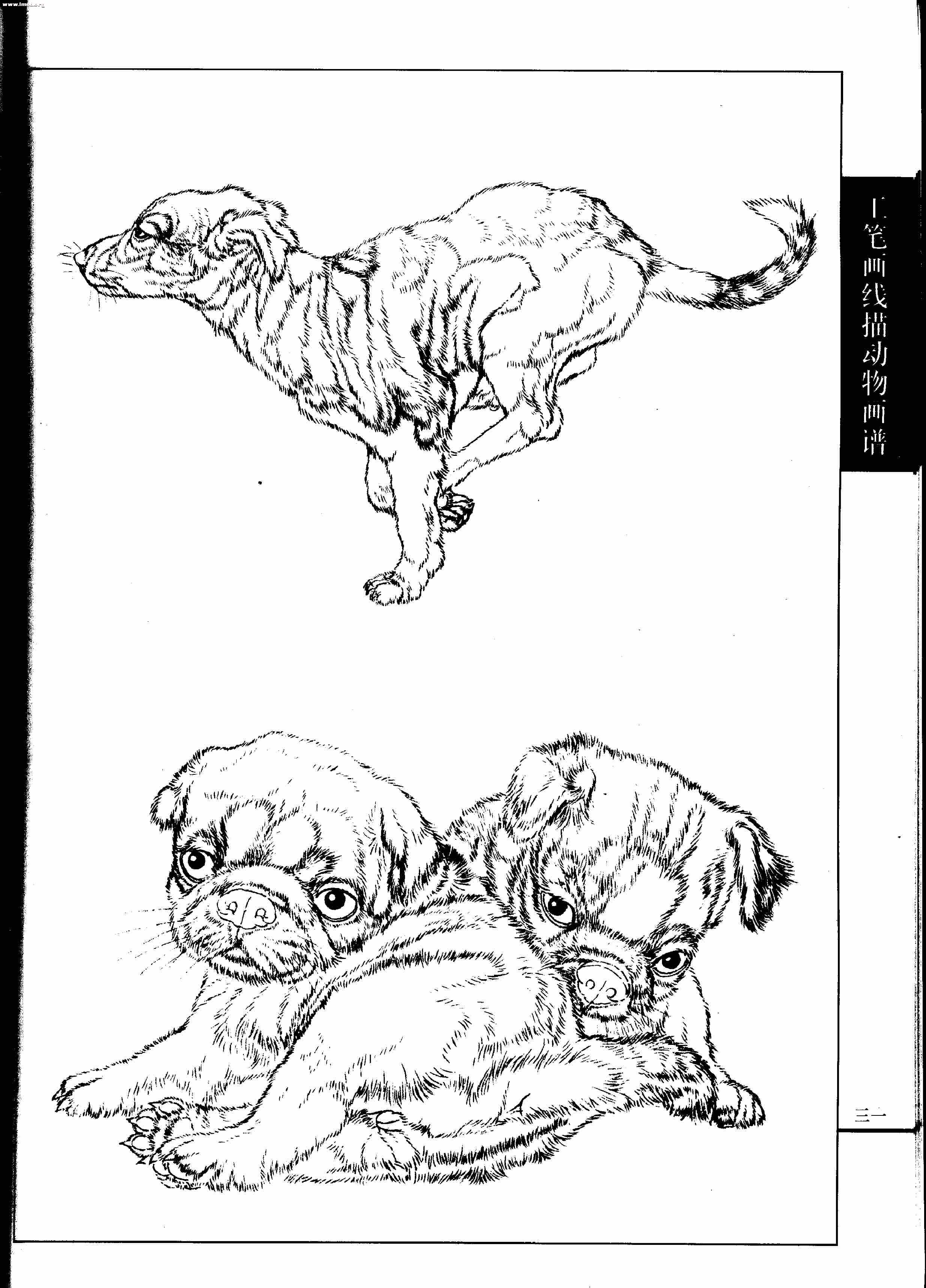 名犬篇0033.jpg