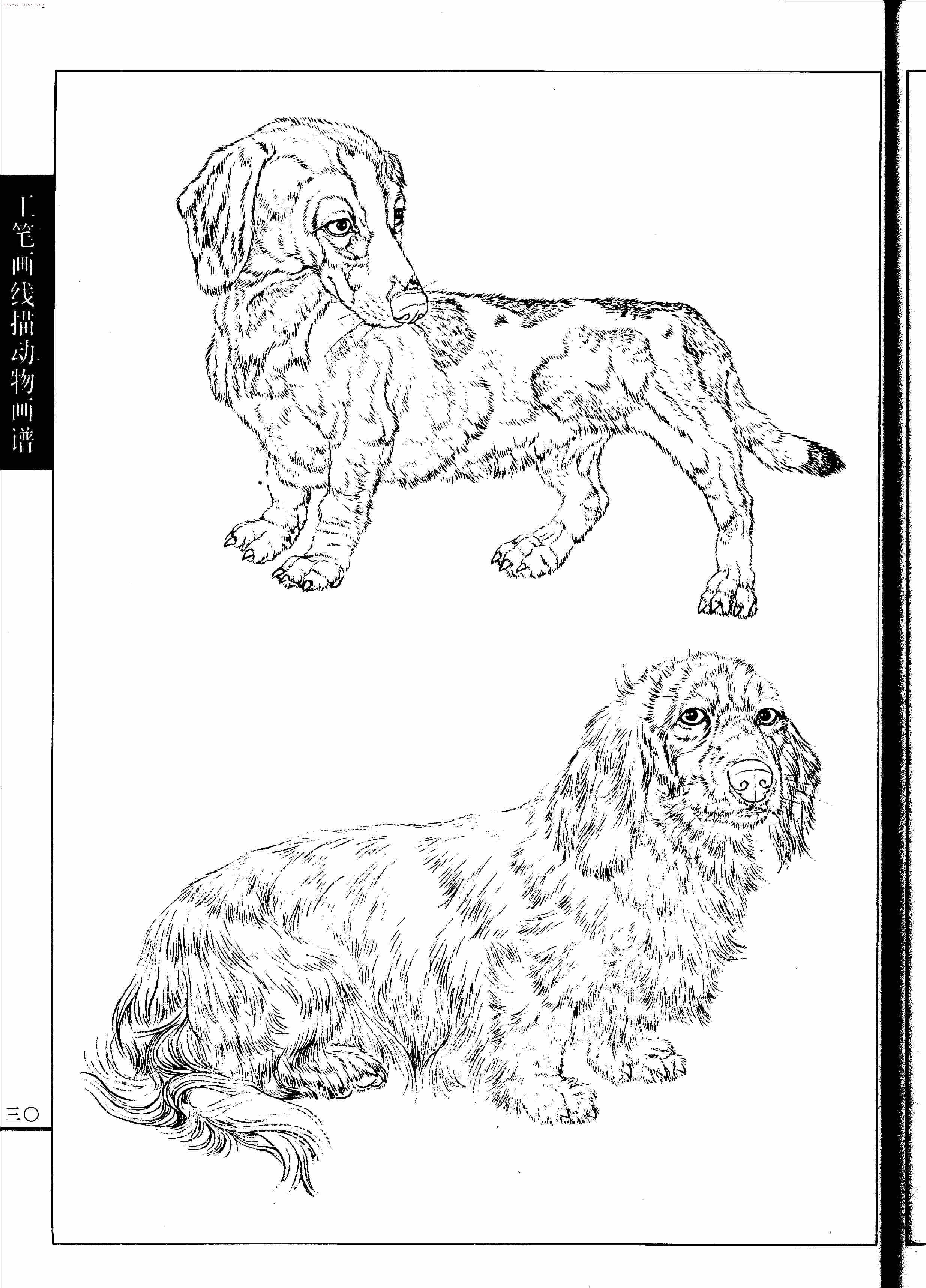 名犬篇0032.jpg