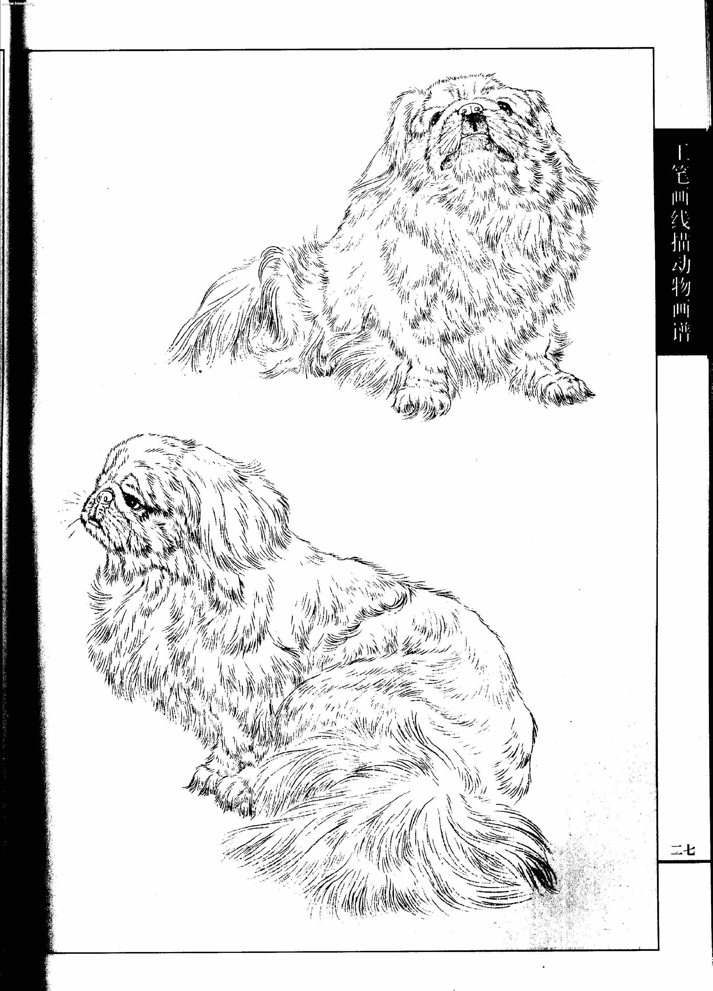 名犬篇0029.jpg