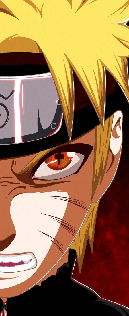 TOP2011 450x1100.jpg