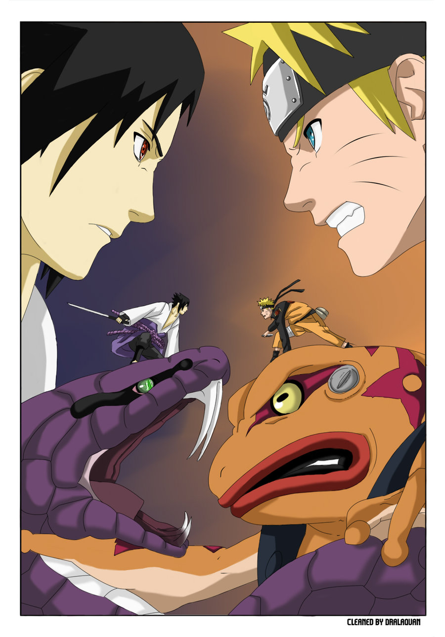 TOP2011 900x1286-001.jpg