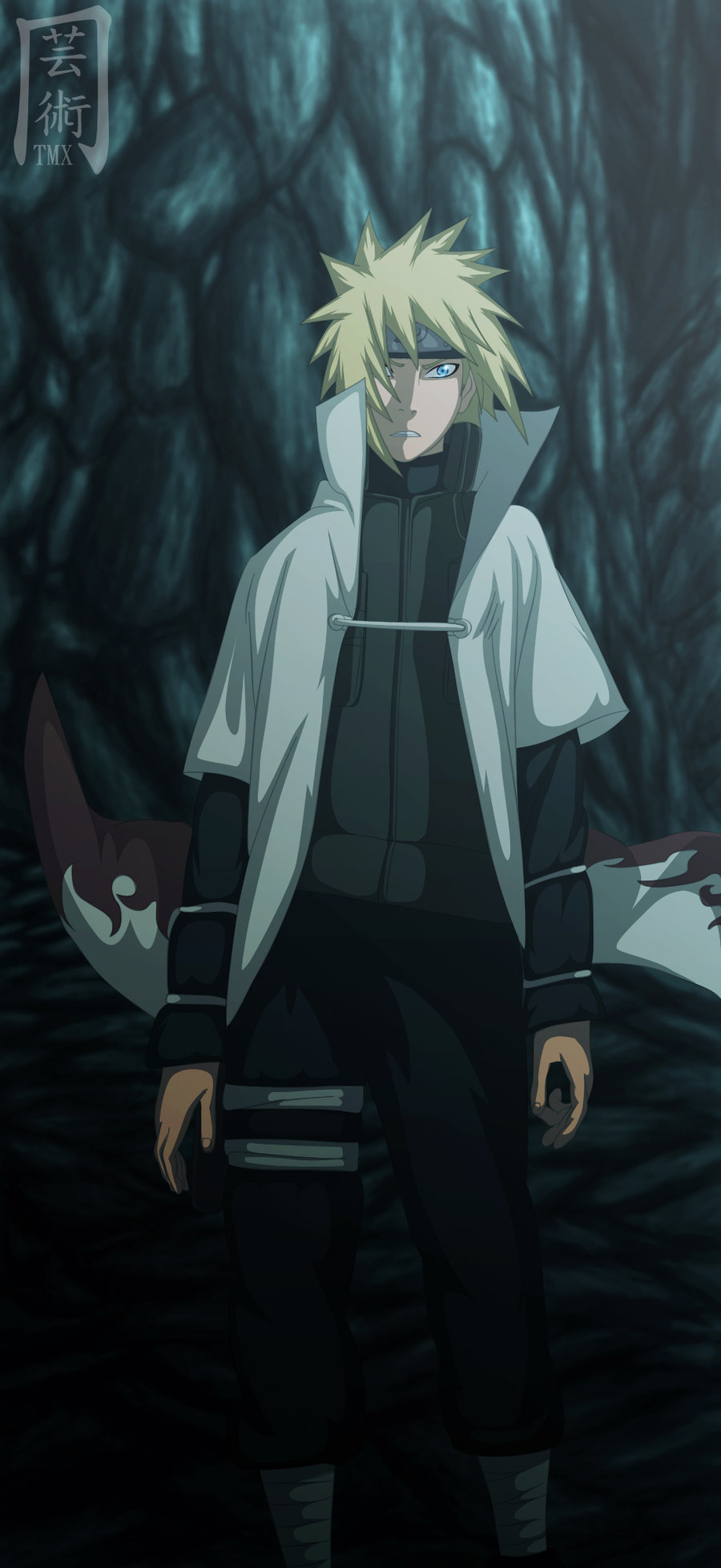 TOP2011 900x1957.jpg