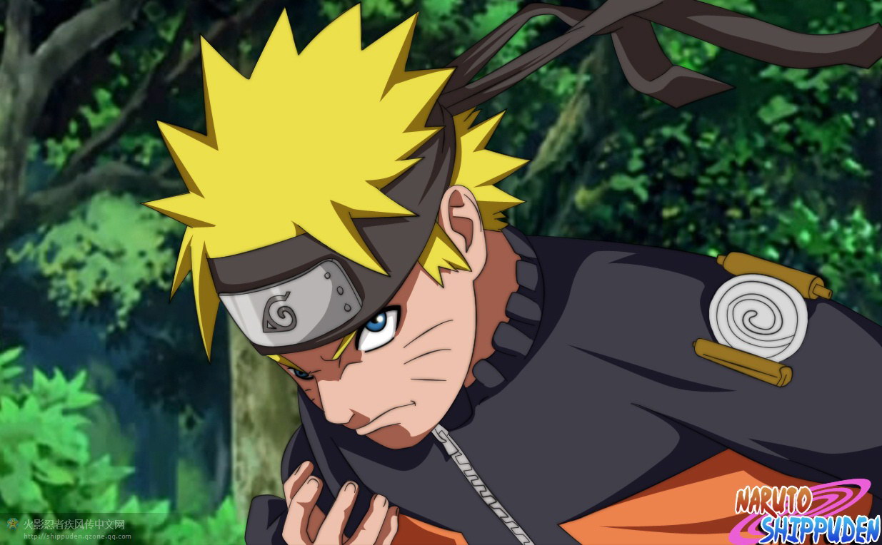 TOP2011 1235x764.jpg