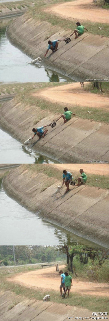 两个孩子救狗.jpg