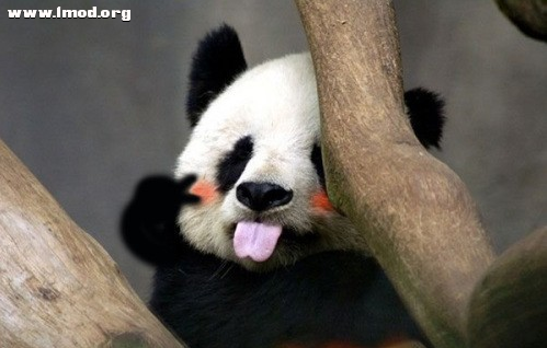 这只手 不是我的啦