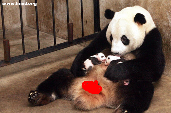 不要看下面啦~~色狼