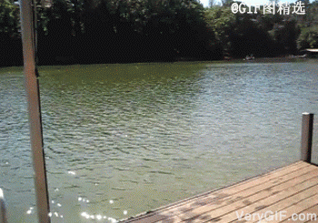 2CCC5306B094321EB72B59084E01A5B5_350_245.GIF