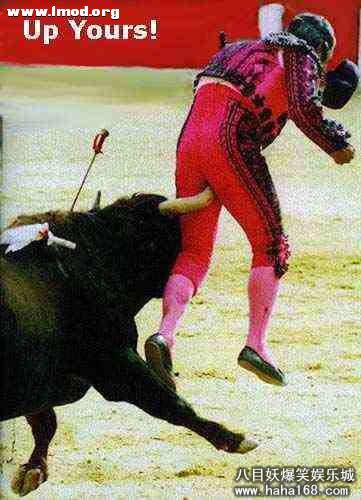 斗牛士被牛插（牛X）.jpg
