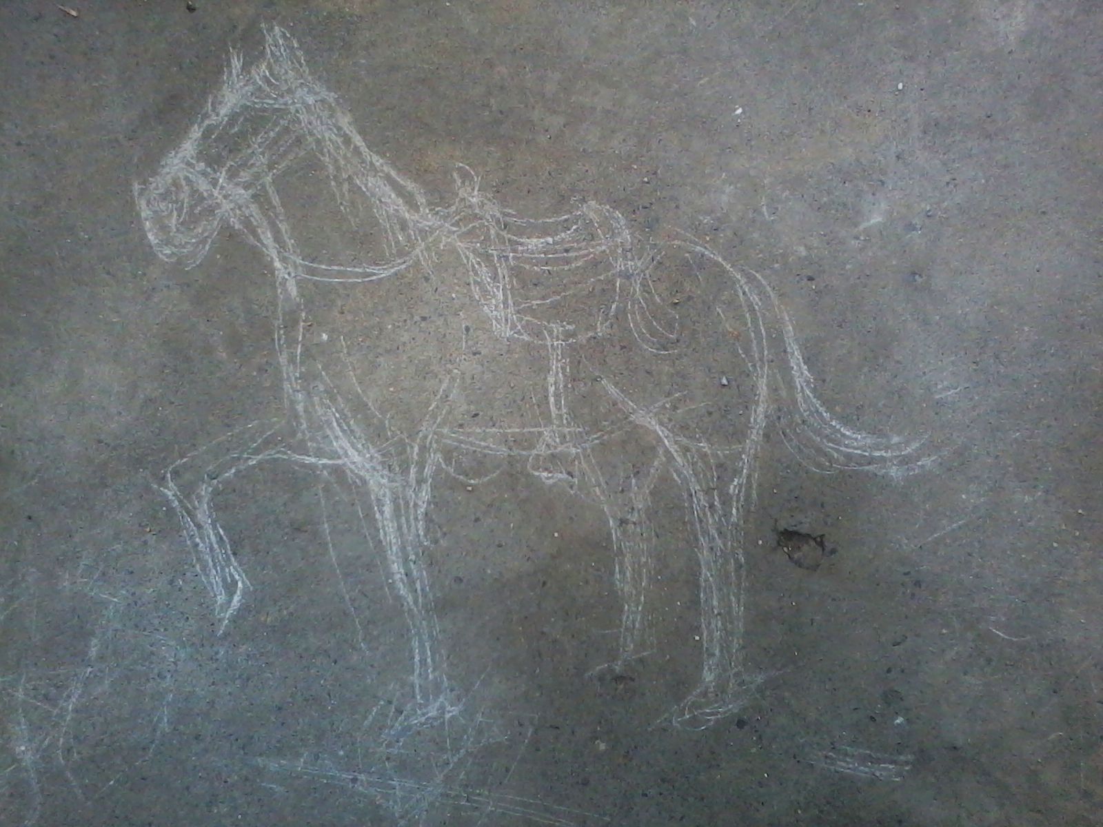 2012-08-04 11.08.01.jpg