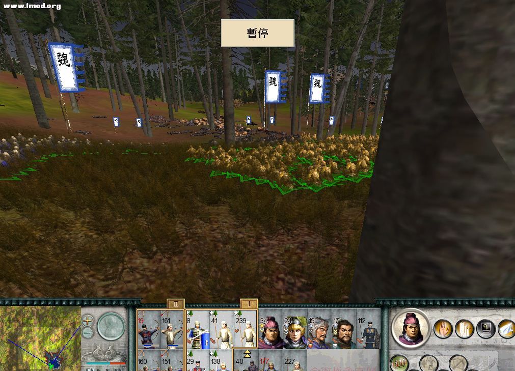 15.jpg