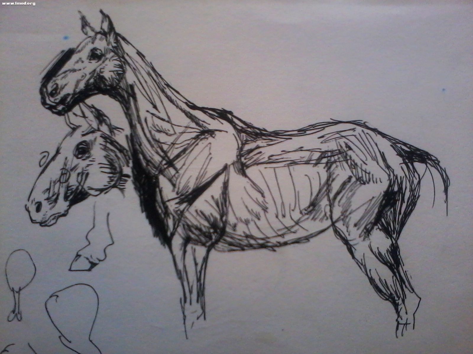 2012-08-28 10.04.49.jpg