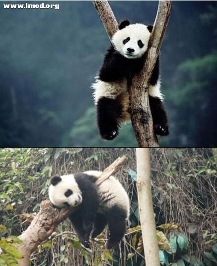 [08_28_12][19_40_53][Maxthon Shot].jpg