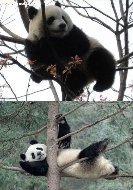 [08_28_12][19_41_03][Maxthon Shot].jpg