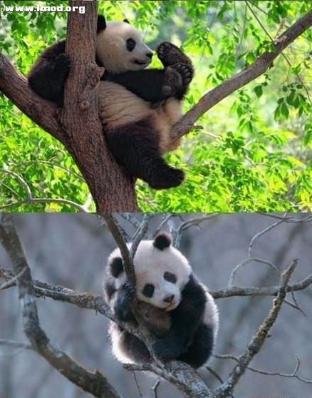 [08_28_12][19_41_20][Maxthon Shot].jpg