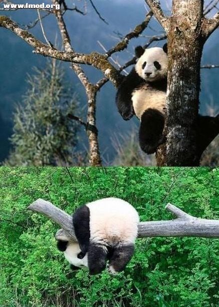 [08_28_12][19_41_32][Maxthon Shot].jpg