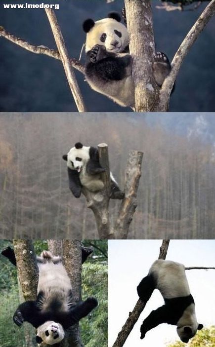 [08_28_12][19_41_44][Maxthon Shot].jpg