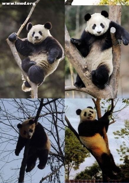 [08_28_12][19_41_53][Maxthon Shot].jpg