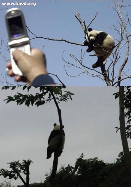 [08_28_12][19_42_00][Maxthon Shot].jpg