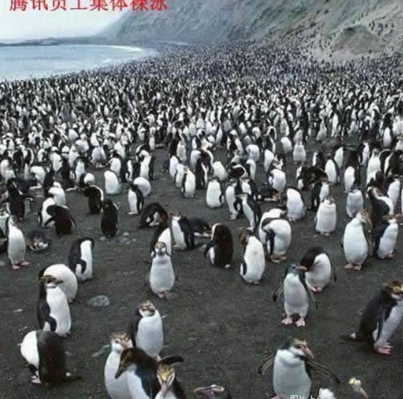 这是真的，有图有真像哈