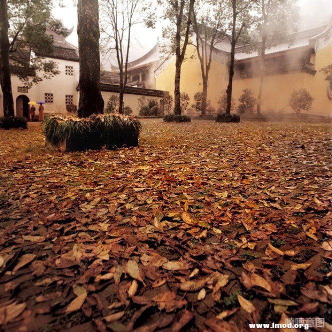 走累了，走进深秋，寺院间泛滥的落叶，把我覆盖。多想跌到，在喧哗中，没入永恒之海。.jpg