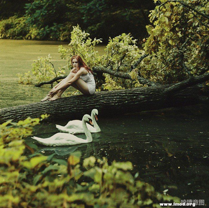 没有什么能够证明爱情，爱情是孤独的证明。      ——史铁生.jpg