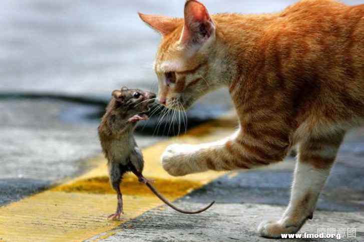 谨慎毫无用处，除非再加上果断。            ——威·布莱克.jpg